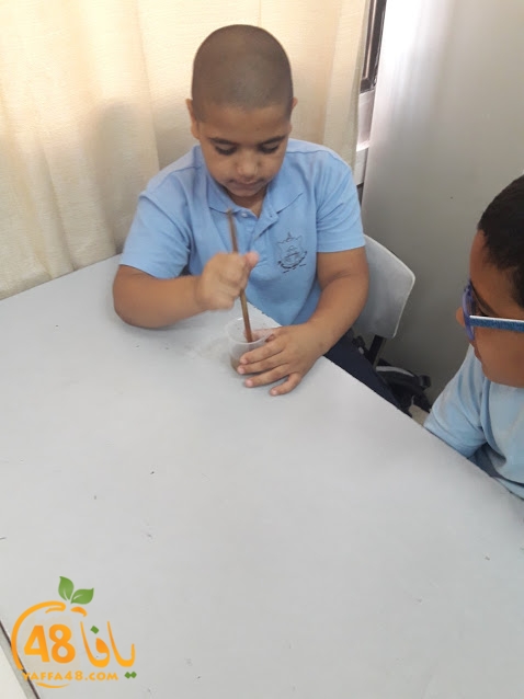 cimikal day (33).jpg